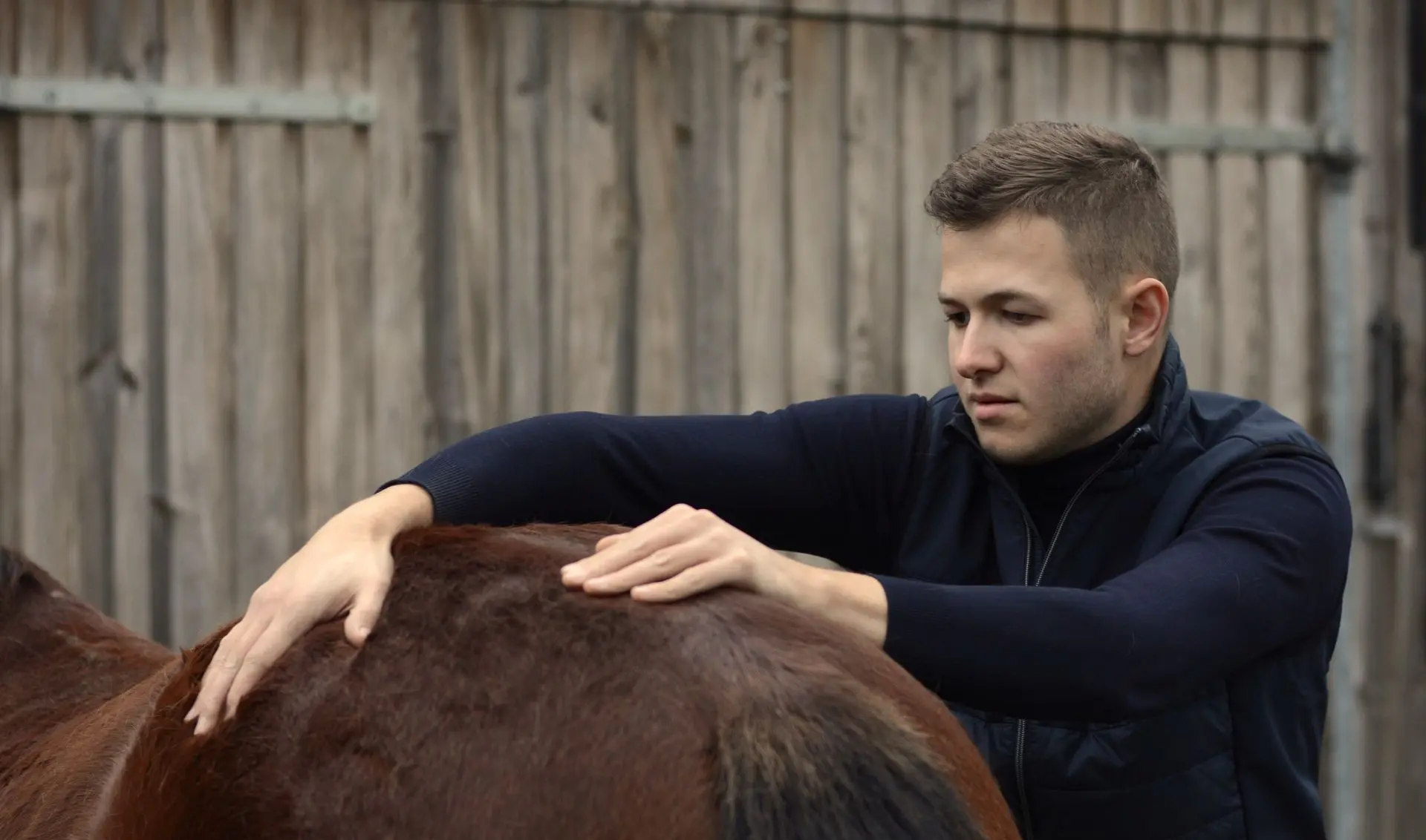 Paardendierenarts Toon Anseeuw van Prevet voert chiropractie bij paarden uit als onderdeel van revalidatie