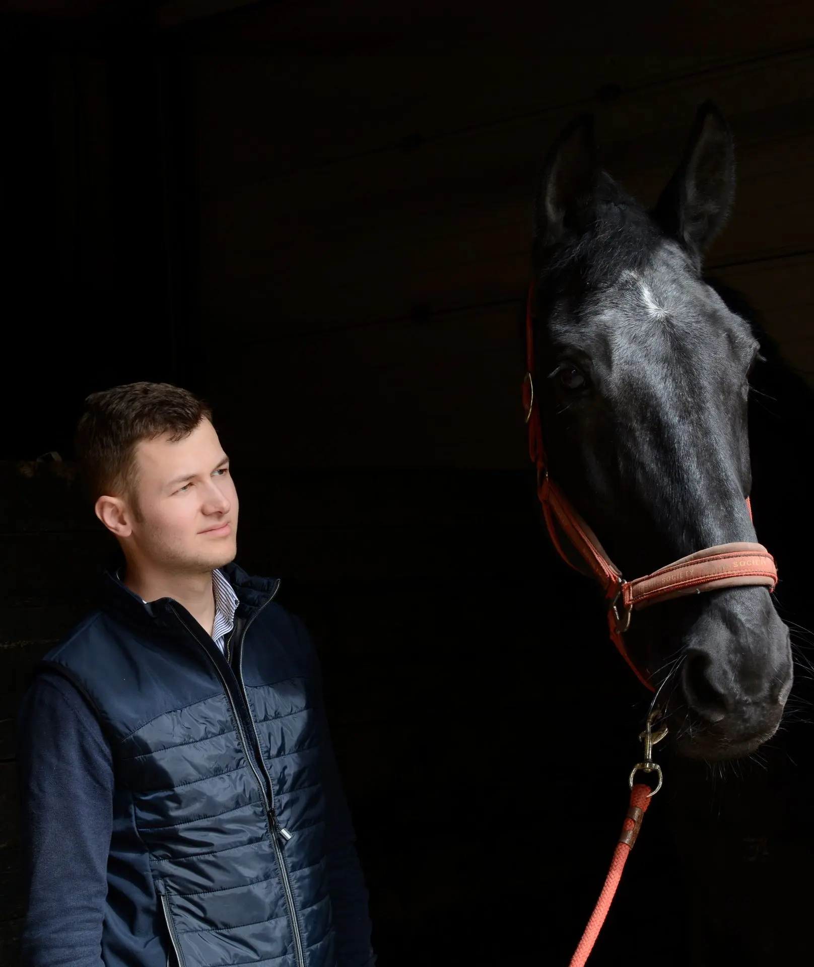 Paardendierenarts Toon Anseeuw van PreVet