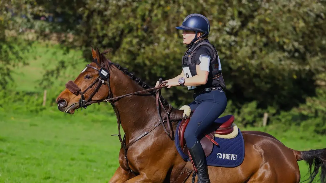Paard chiropractisch behandeld door PreVet presteert op eventing