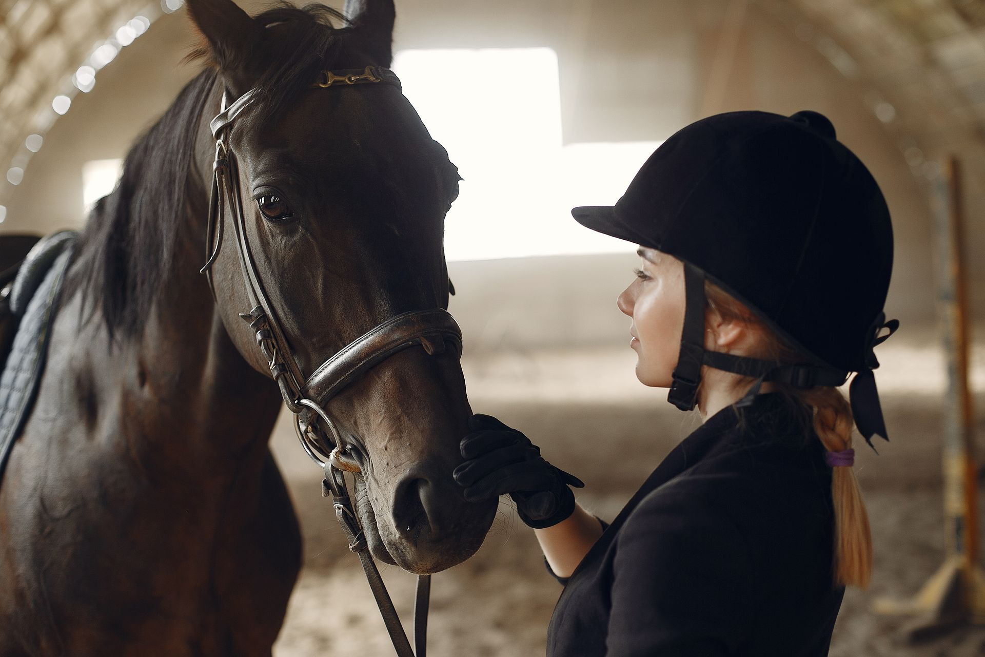 Paard regelmatig gecontroleerd door PreVet