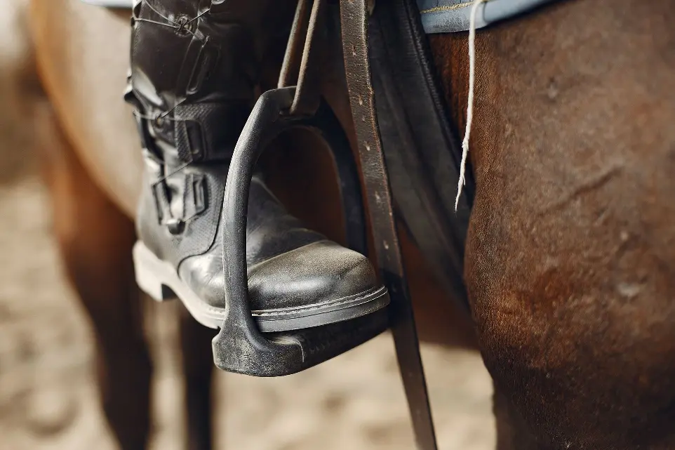 Preventie van blessures bij paarden